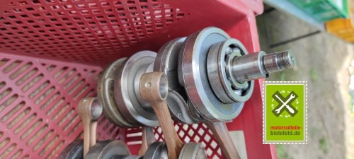 IMG_20230824_122604